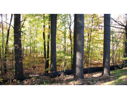 Lot 1 Willard Road Ashburnham, MA 01430 - Photo 17 of 18 Gallery Image 17