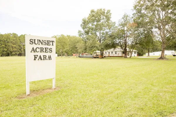 $489,900 | 10007 Jacksonboro Road, Cottageville, SC 29435