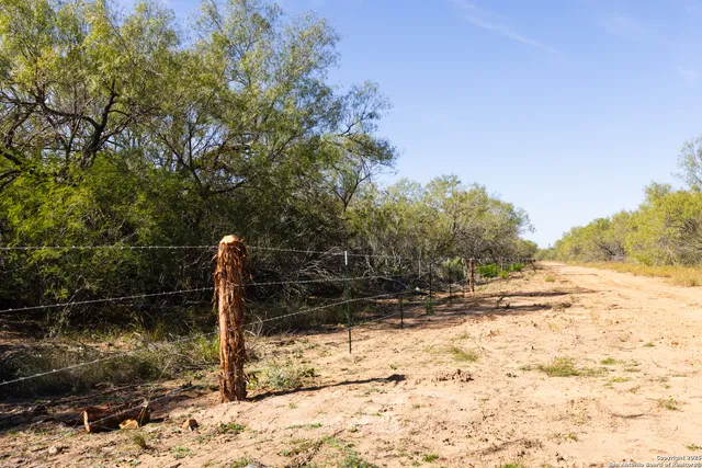 a backyard of a house with lots of trees