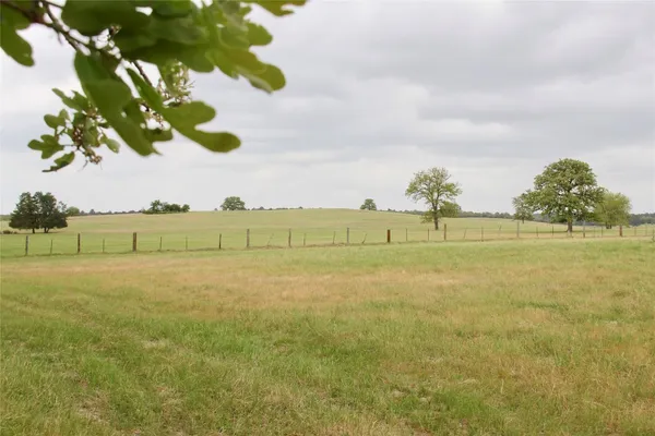 a view of a field with an ocean