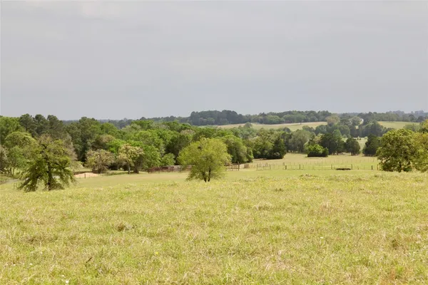 a view of a field with an ocean