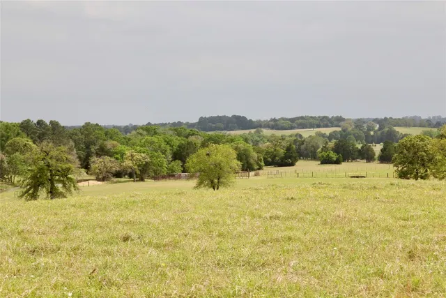a view of a field with an ocean