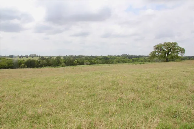 a view of an outdoor space and a yard
