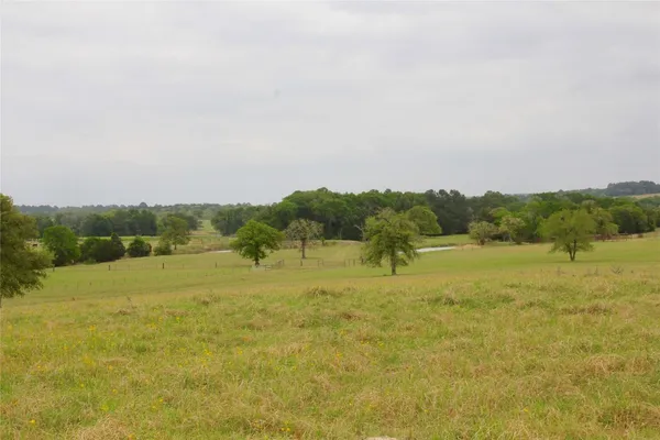 a view of lake view with large trees