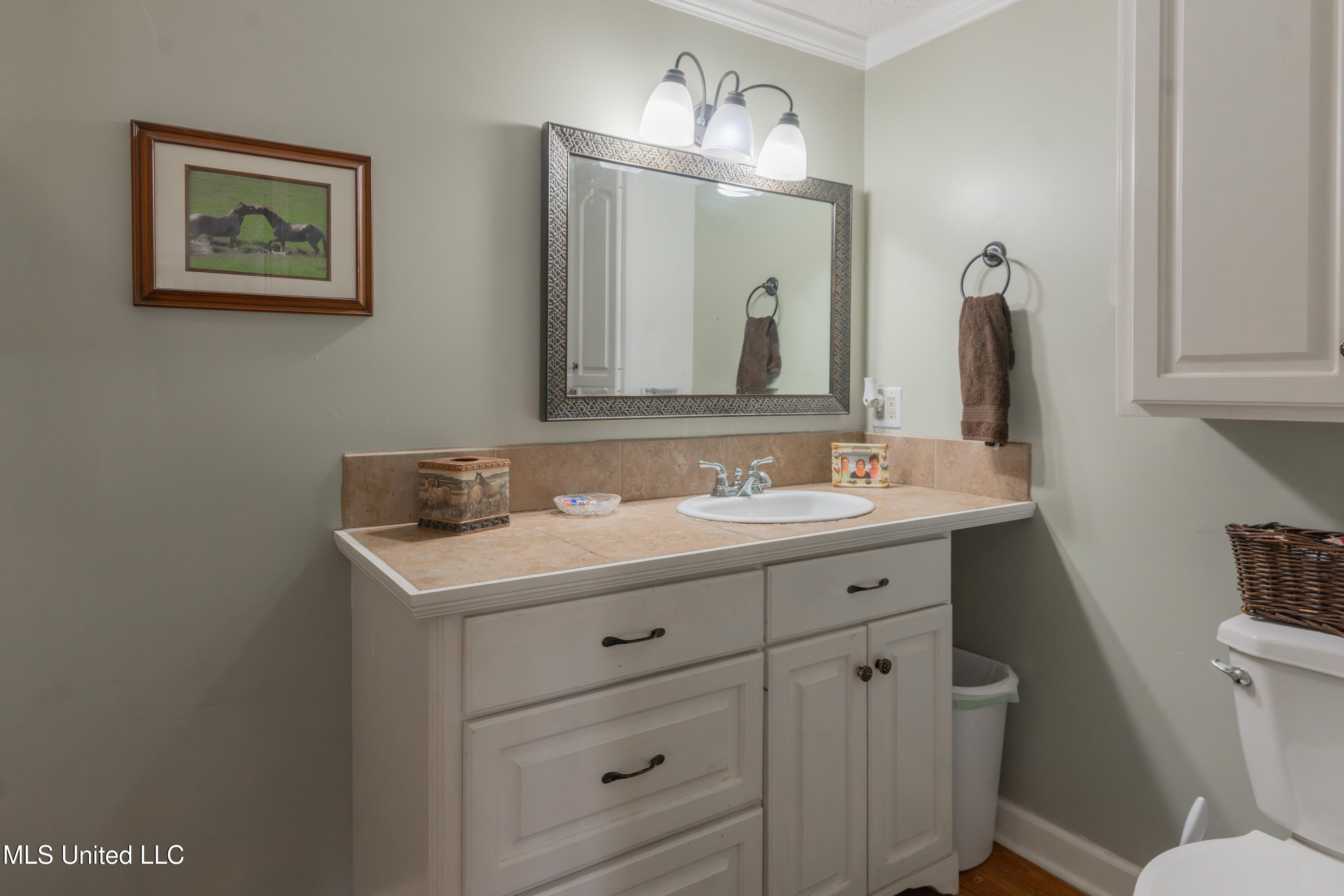 14852 Dry Grove Road Raymond, MS 39154 - Photo 32 of 62 32-PrimaryBathroom