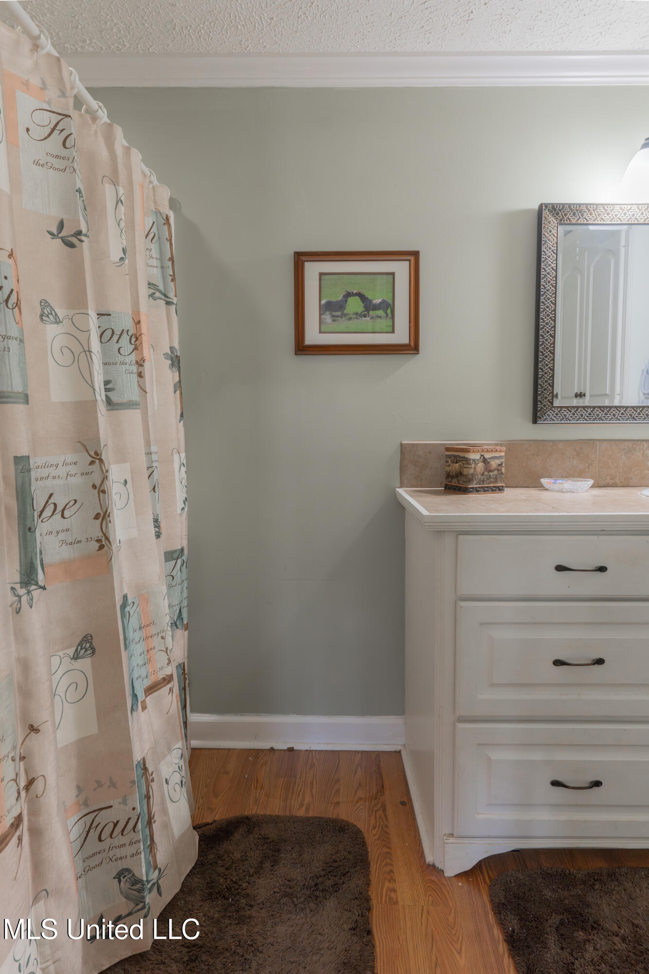 14852 Dry Grove Road Raymond, MS 39154 - Photo 37 of 62 37-PrimaryBathroom
