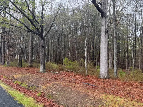 $67,000 | Lot 33 Pitts Creek Road, Unit 33, New Church, VA 23415