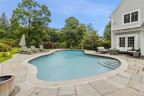 a view of a swimming pool with lounge chair