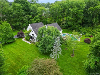 a view of a garden with a tree