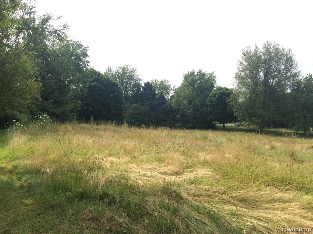 Lot 1 Eager Road Howell, MI 48843 - Photo 1 of 14