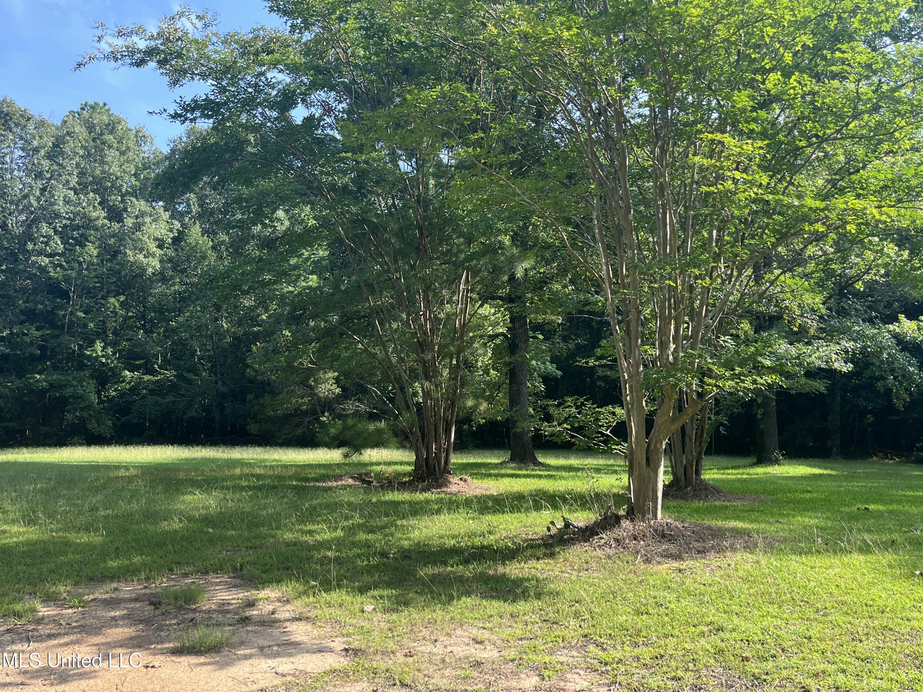 297 Barnes Road Florence, MS 39073 - Photo 135 of 170 IMG_8445