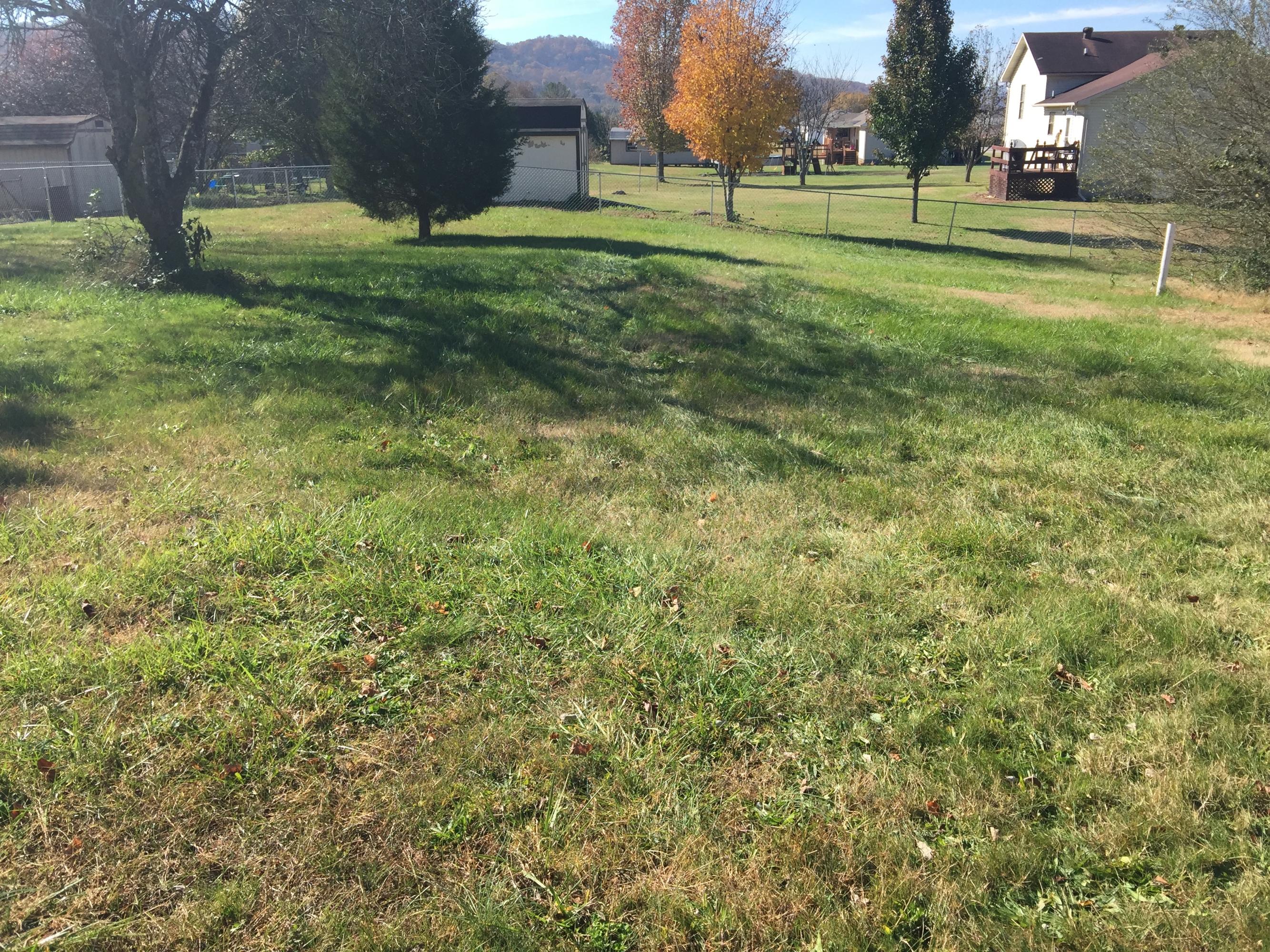 265 Rocky Springs Road Bean Station, TN 37708 - Photo 7 of 12 028