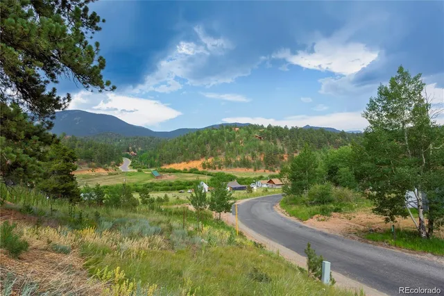 $470,000 | 1555 Shelton Drive, Bailey, CO 80421