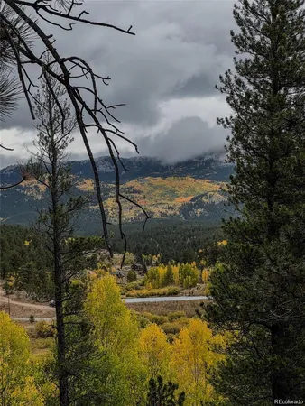 $470,000 | 1555 Shelton Drive, Bailey, CO 80421