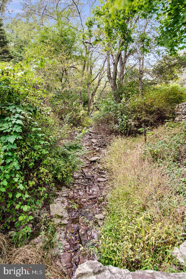 11 Aqueduct Road Newtown, PA 18940 - Photo 33 of 34 Small running creek separates home from road.