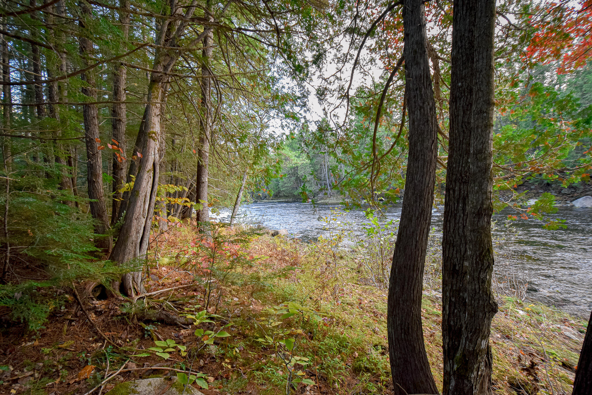 Lot 8 Coles Corner Road Abbot, ME 04406 - Photo 75 of 77 DSC_0998
