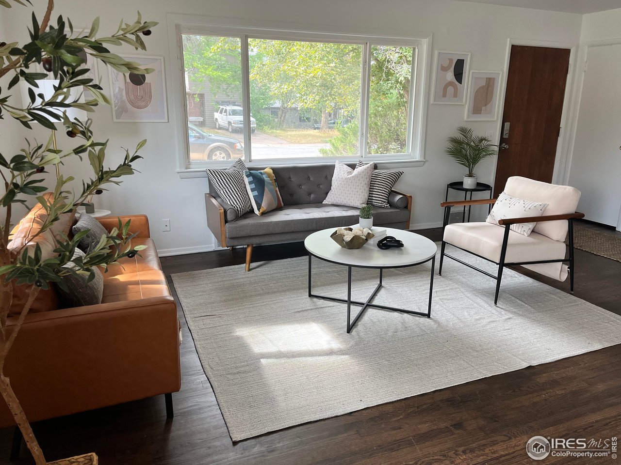 a living room with furniture and a potted plant