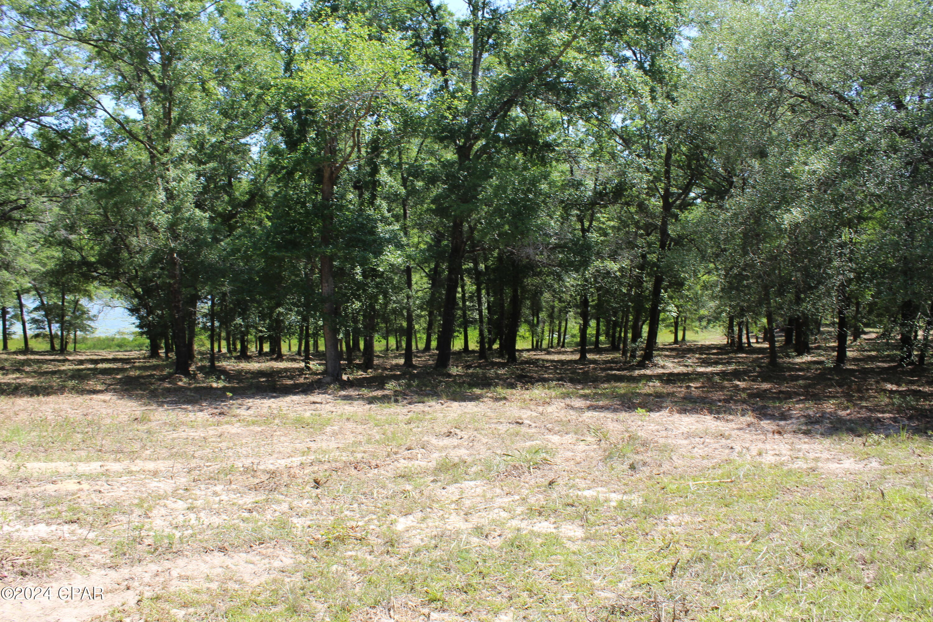 Tbd Twin Pond Road Vernon, FL 32462 - Photo 4 of 42 Gallery Image 4
