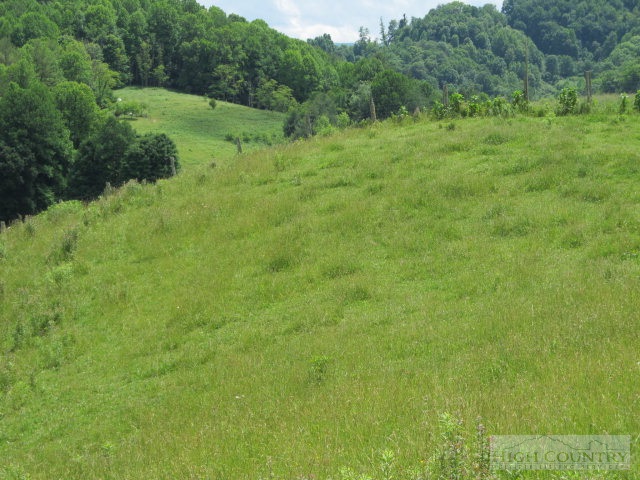 218 Roundabout Road Creston, NC 28615 - Photo 21 of 33 Gallery Image 21
