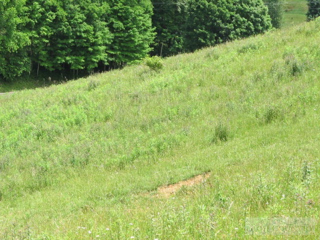 218 Roundabout Road Creston, NC 28615 - Photo 22 of 33 Gallery Image 22