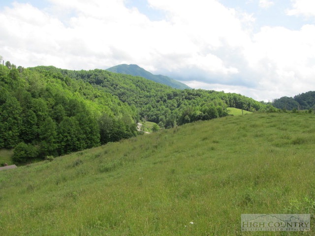 218 Roundabout Road Creston, NC 28615 - Photo 27 of 33 Gallery Image 27