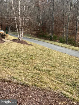 a view of a pathway with a yard