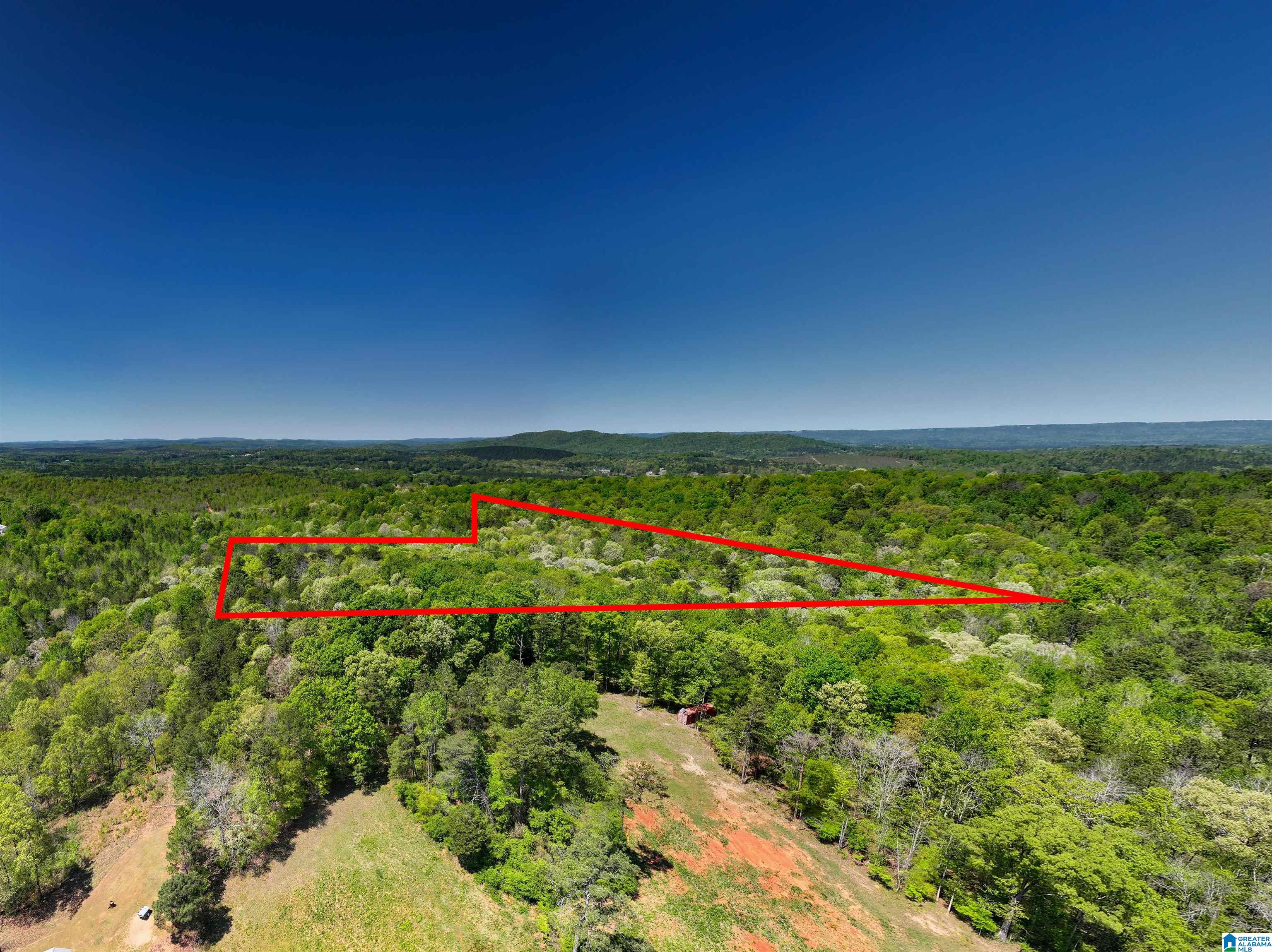 0 Pike Hill Road Ashville, AL 35953 - Photo 3 of 22