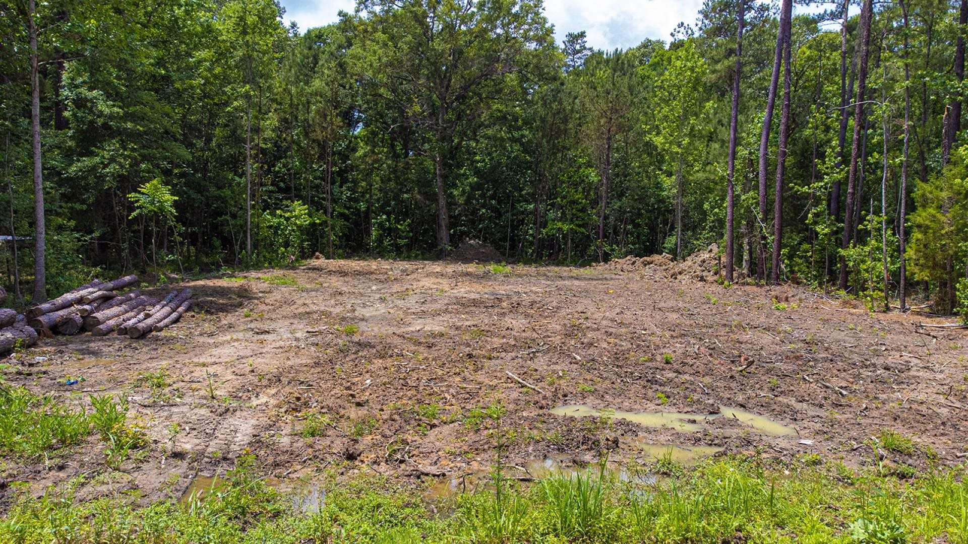 97 Hardee Street Andrews, SC 29510 - Photo 13 of 16