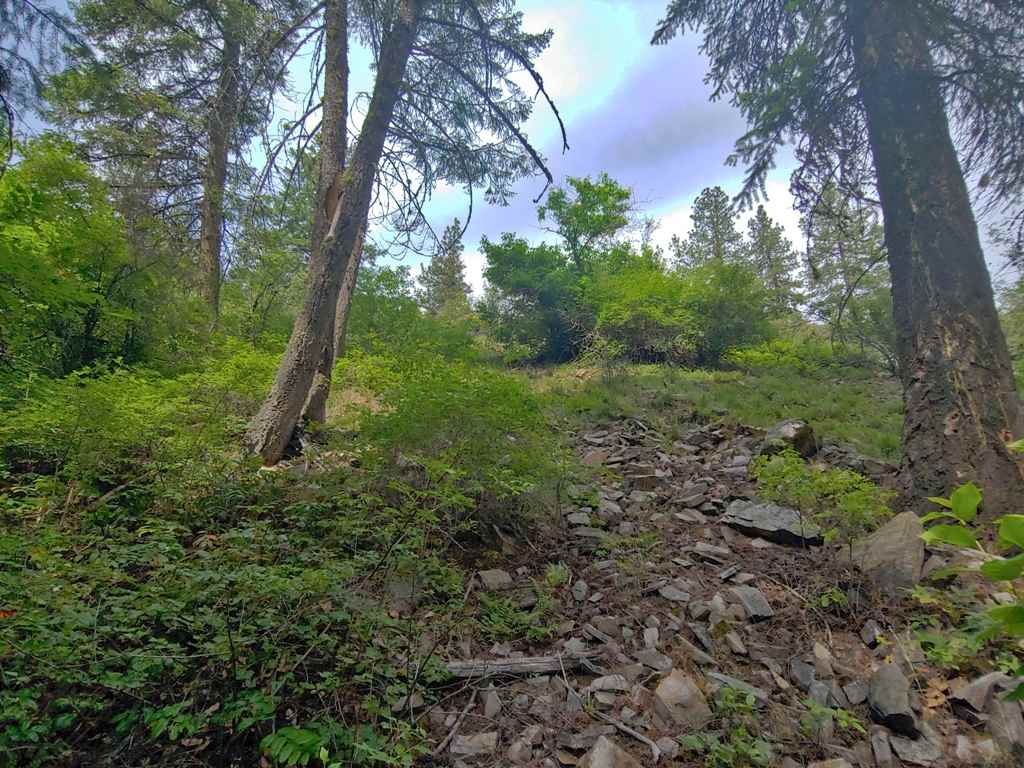 926 Valley-Westside Road Colville, WA 99114 - Photo 14 of 20