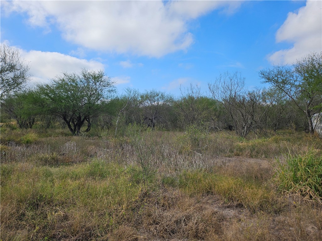 23354 County Road 1038 Mathis, TX 78368 - Photo 11 of 16