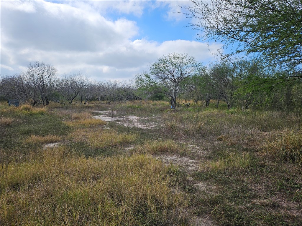 23354 County Road 1038 Mathis, TX 78368 - Photo 12 of 16