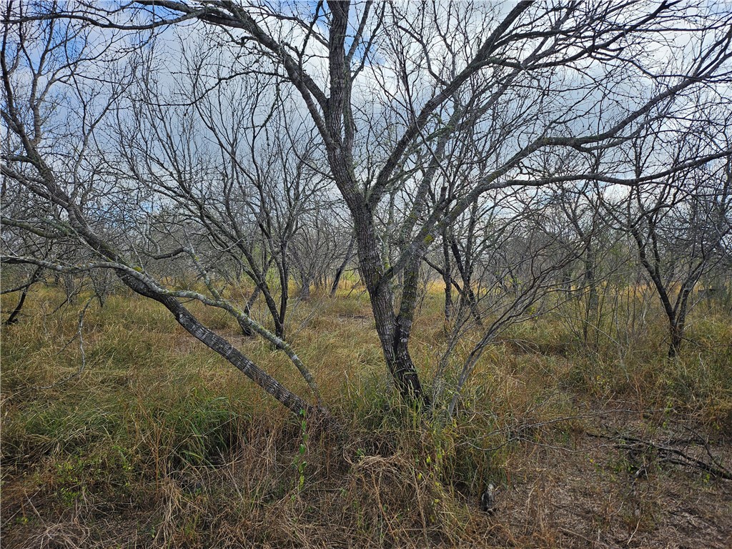 23354 County Road 1038 Mathis, TX 78368 - Photo 13 of 16