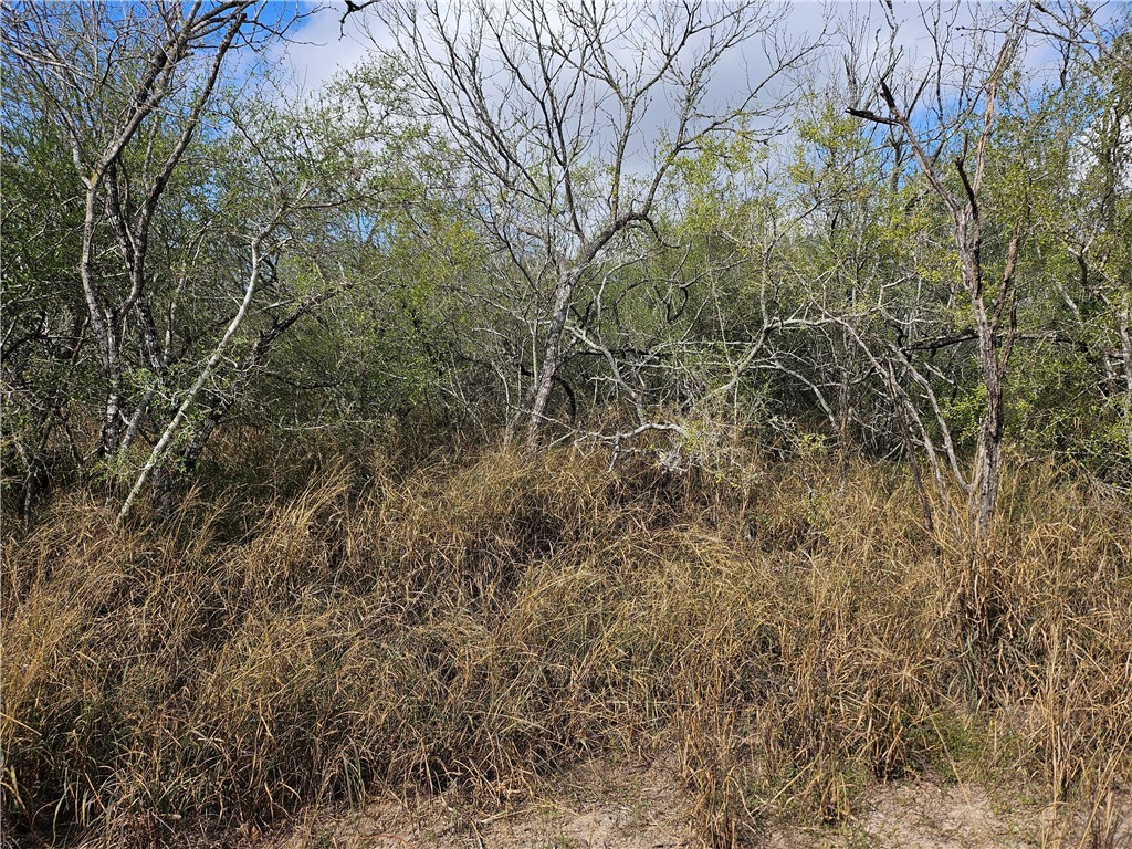 23354 County Road 1038 Mathis, TX 78368 - Photo 14 of 16