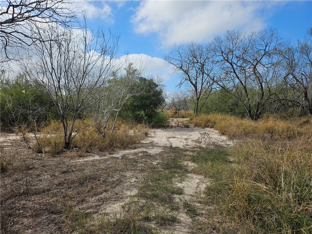 23354 County Road 1038 Mathis, TX 78368 - Photo 15 of 16