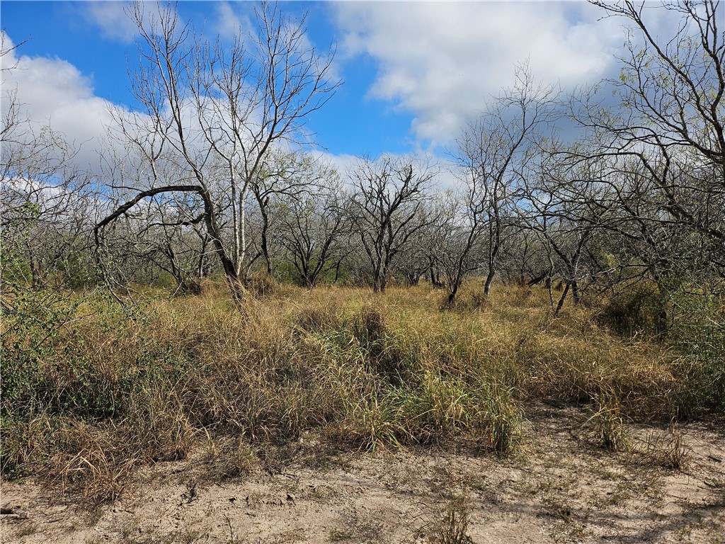 23354 County Road 1038 Mathis, TX 78368 - Photo 4 of 16