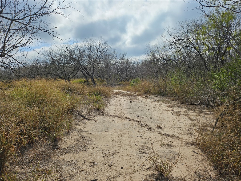 23354 County Road 1038 Mathis, TX 78368 - Photo 6 of 16