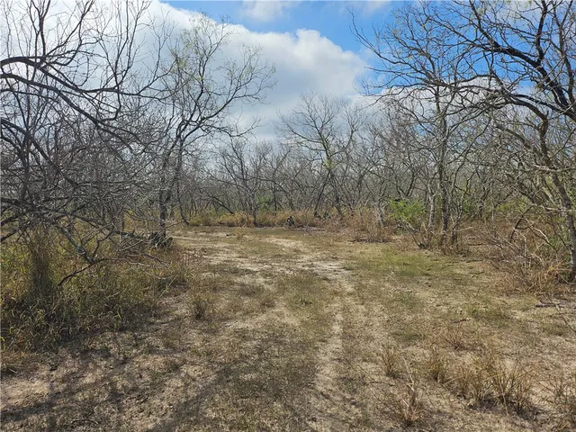 $210,000 | 23354 County Road 1038, Mathis, TX 78368