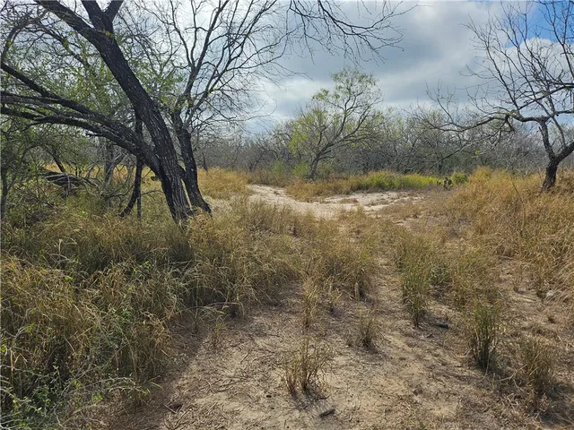 $210,000 | 23354 County Road 1038, Mathis, TX 78368