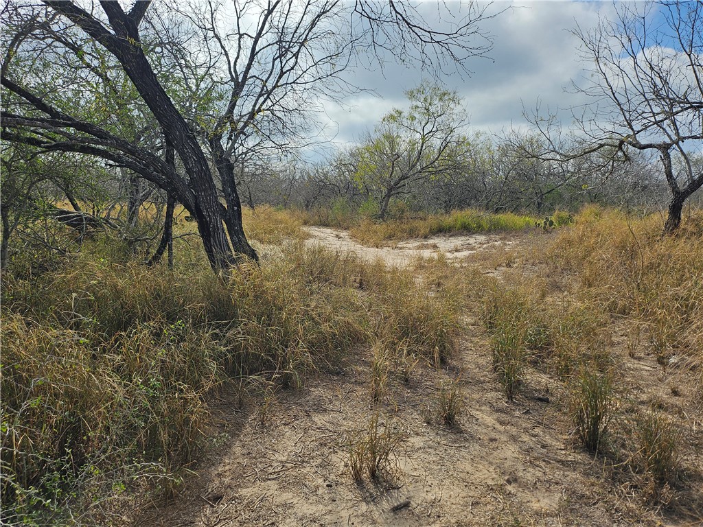 23354 County Road 1038 Mathis, TX 78368 - Photo 9 of 16