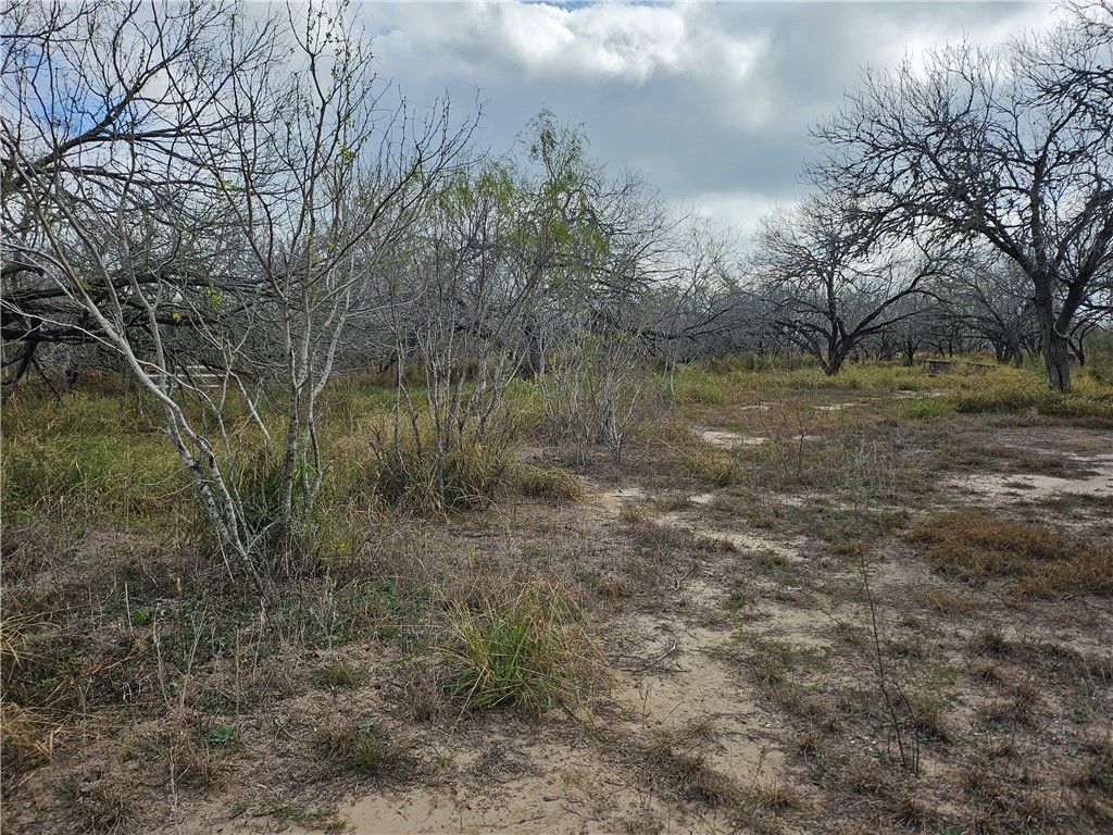 23354 County Road 1038 Mathis, TX 78368 - Photo 10 of 16