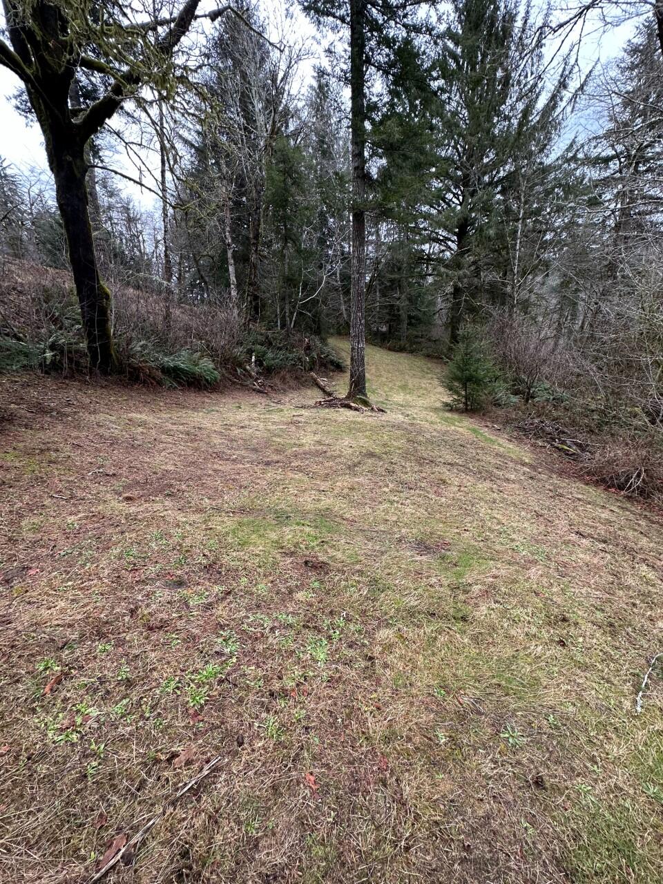 11-12 Big Trout Road Grand Ronde, OR 97347 - Photo 1 of 17 pic 9_IMG_0806