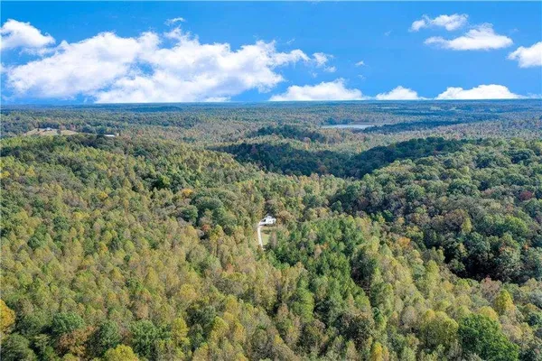 a view of a yard with an outdoor space