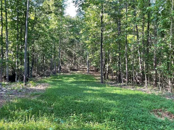 a view of green field with trees in the background