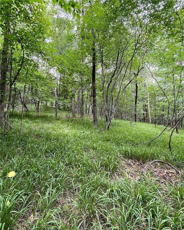 55 Sweetwater Way Lula, GA 30554 - Photo 7 of 8 a view of a lush green space