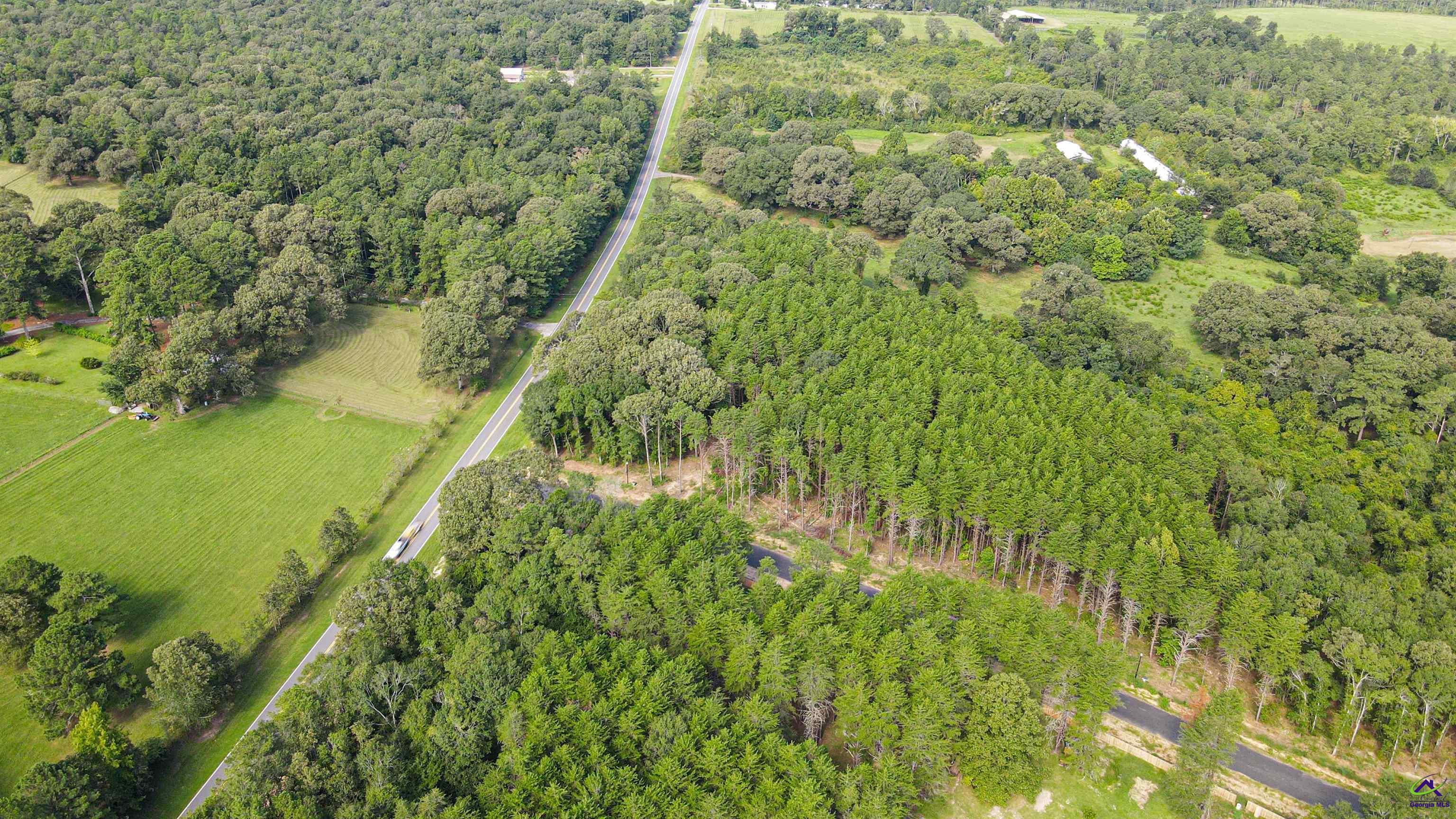 Lot 1 Trojan Way Barnesville, GA 30204 - Photo 10 of 11