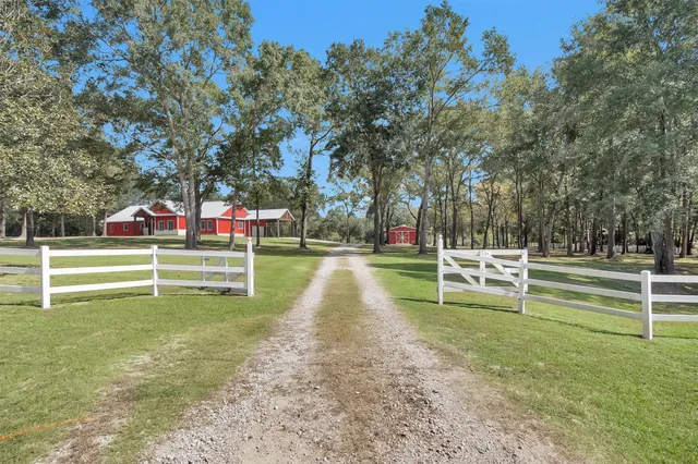 a view of a park with large trees