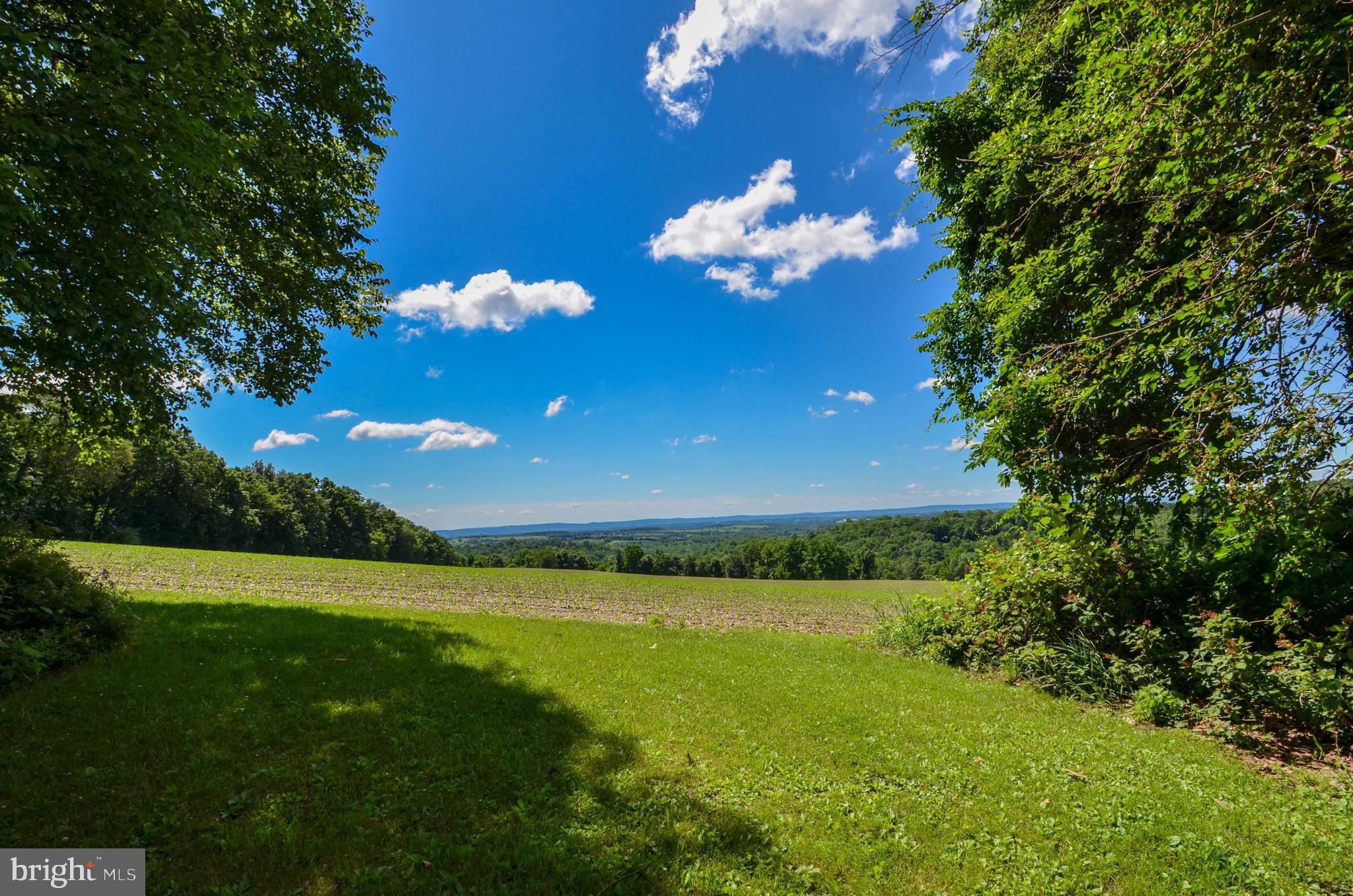 3530 Oak Ridge Drive Slatington, PA 18080 - Photo 2 of 30 Gallery Image 2