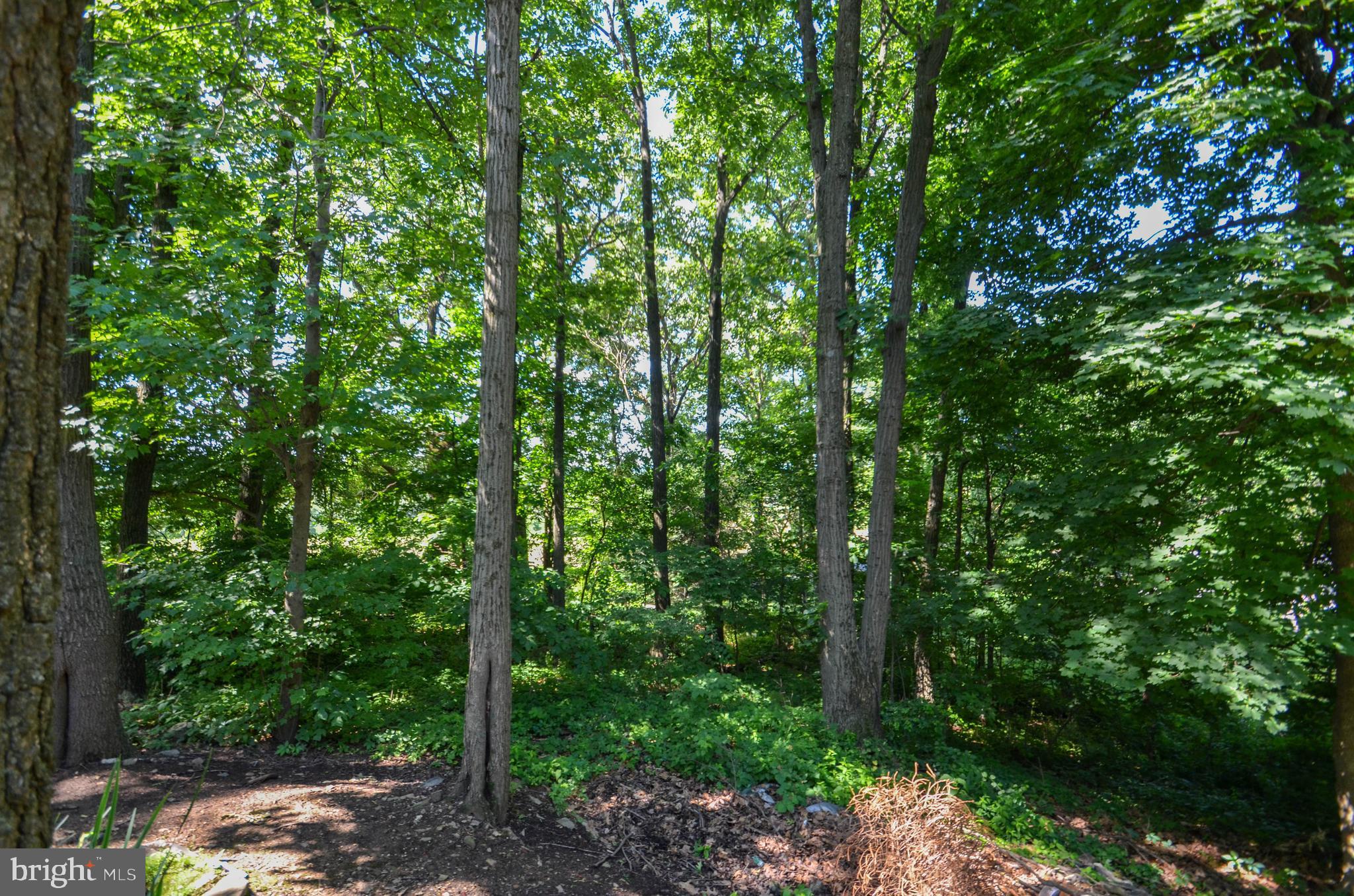 3530 Oak Ridge Drive Slatington, PA 18080 - Photo 25 of 30 Gallery Image 25