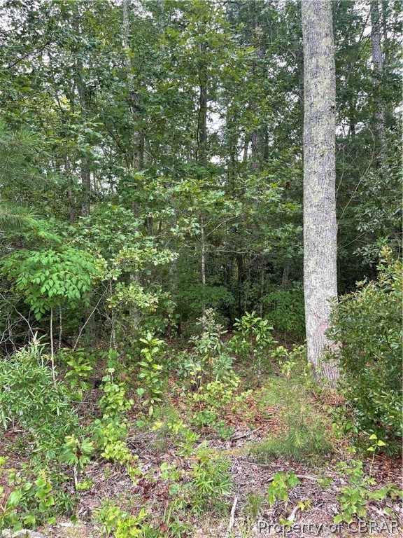 0 Line Fence Road Hayes, VA 23072 - Photo 11 of 14
