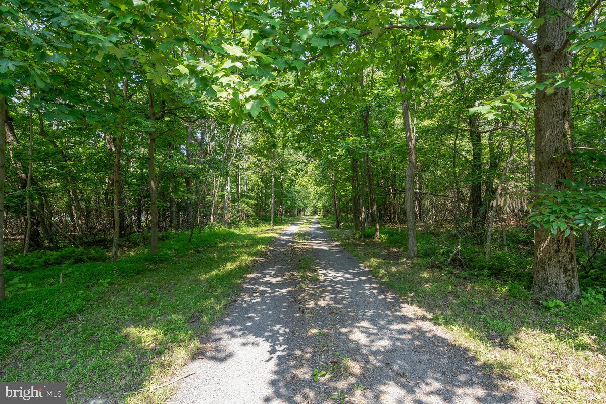 10440 Gambrill Park Road Frederick, MD 21702 - Photo 60 of 72 Driveway